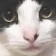 :minmo: